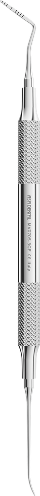Goldman-Fox 3 – ASA Dental S.p.A. Uninominale, Explorers