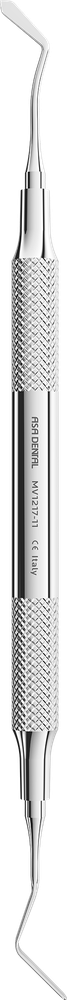 MV1217-11 – ASA Dental S.p.A. Uninominale, Composites