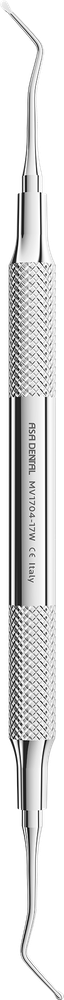 MV1704-17W