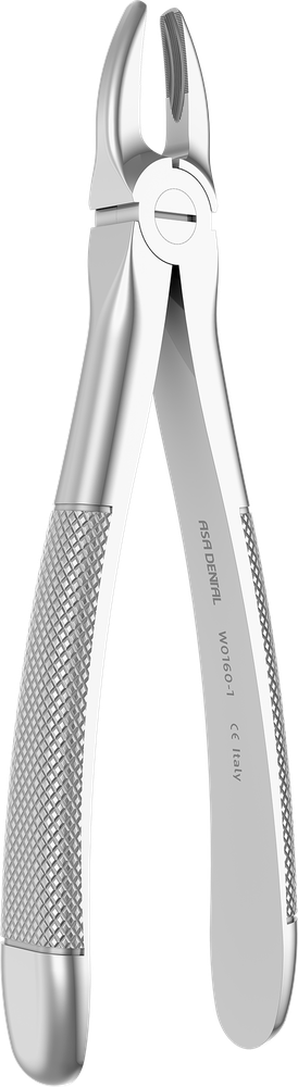 OK-Frontzähne - 15.5 ± 0.1 cm - mit geriffelten Spitzen W0160-1