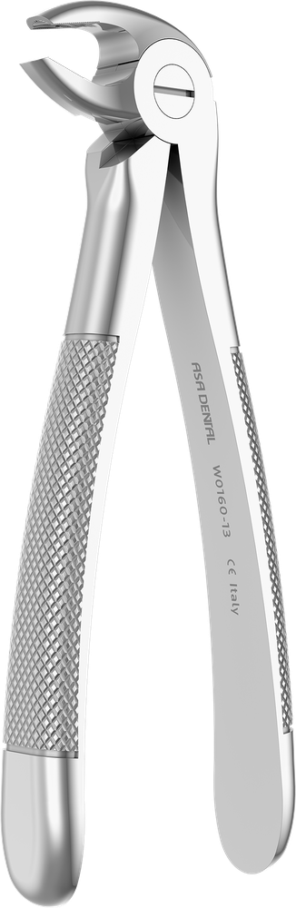 UK-Prämolaren - 13.5 ± 0.2 cm - mit geriffelten Spitzen W0160-13