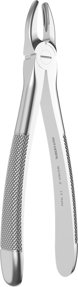 W0160-2 – ASA Dental S.p.A. Uninominale, Extraction Forceps
