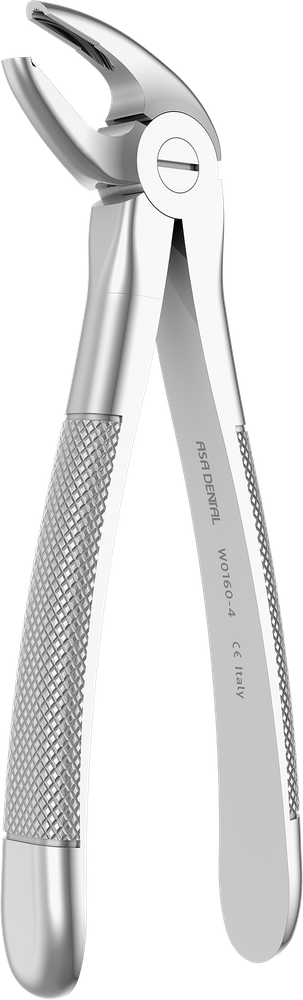 UK-Frontzähne - 14.4 ± 0.2 cm - mit geriffelten Spitzen W0160-4