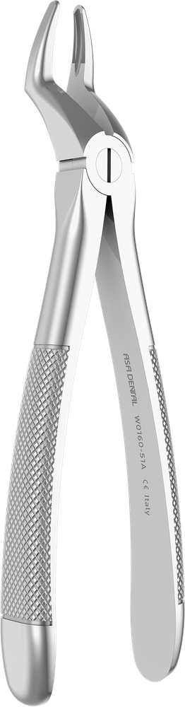 W0160-51A – ASA Dental S.p.A. Uninominale, Extraction Forceps