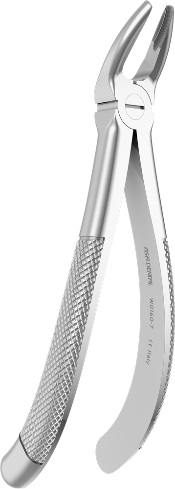 OK-Frontzähne, OK-Prämolaren - 15.5 ± 0.1 cm - mit geriffelten Spitzen W0160-7