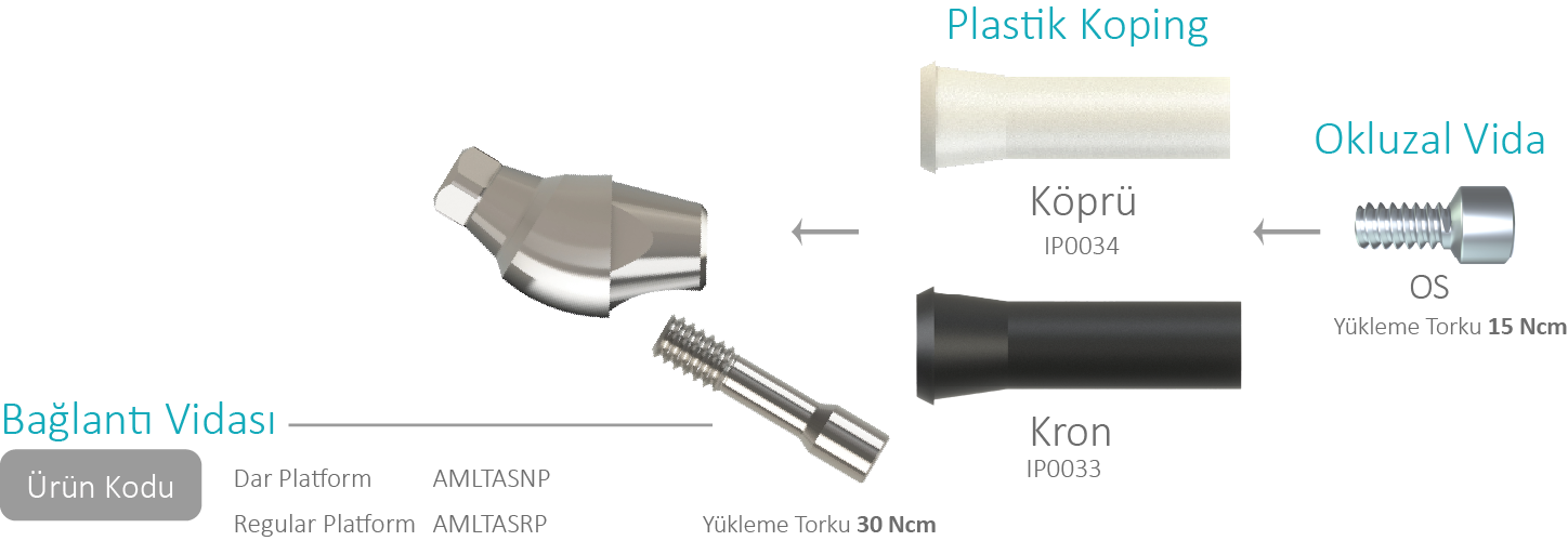 Açılı Multi-unit Dayanaklar – PROIMTECH SAGLIK ÜRÜNLERI ANONIM SIRKETI, Implant Components & Abutments