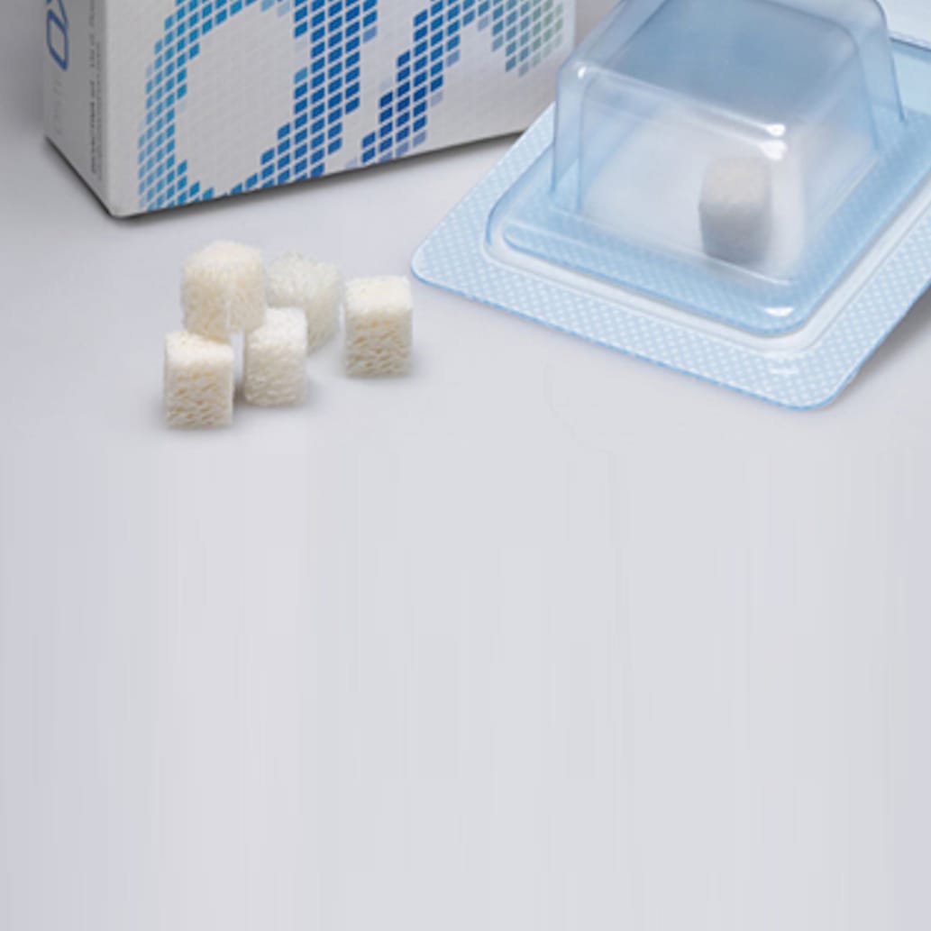 Sostituti Ossei Collagenici – Blocchi – osteOXenon – BIOACTIVA Srl, Bone Graft Materials