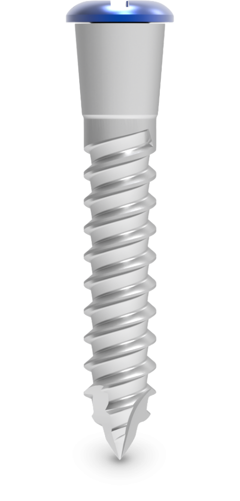 Parafusos Tenda DM – Bionnovation Biomedical, Bone Graft Materials