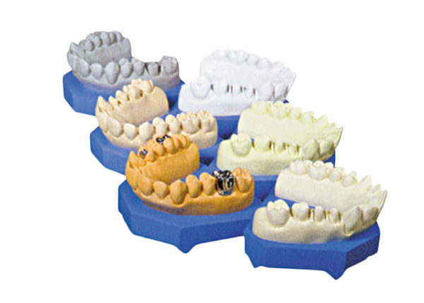 BMS Gypsum Type III