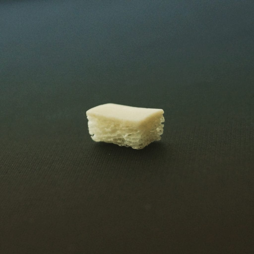 CenoBone – CenoBiologics Ltd, Bone Graft Materials