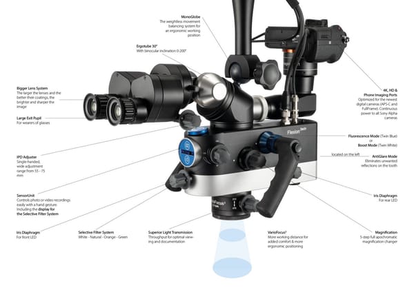 Flexion Twin
