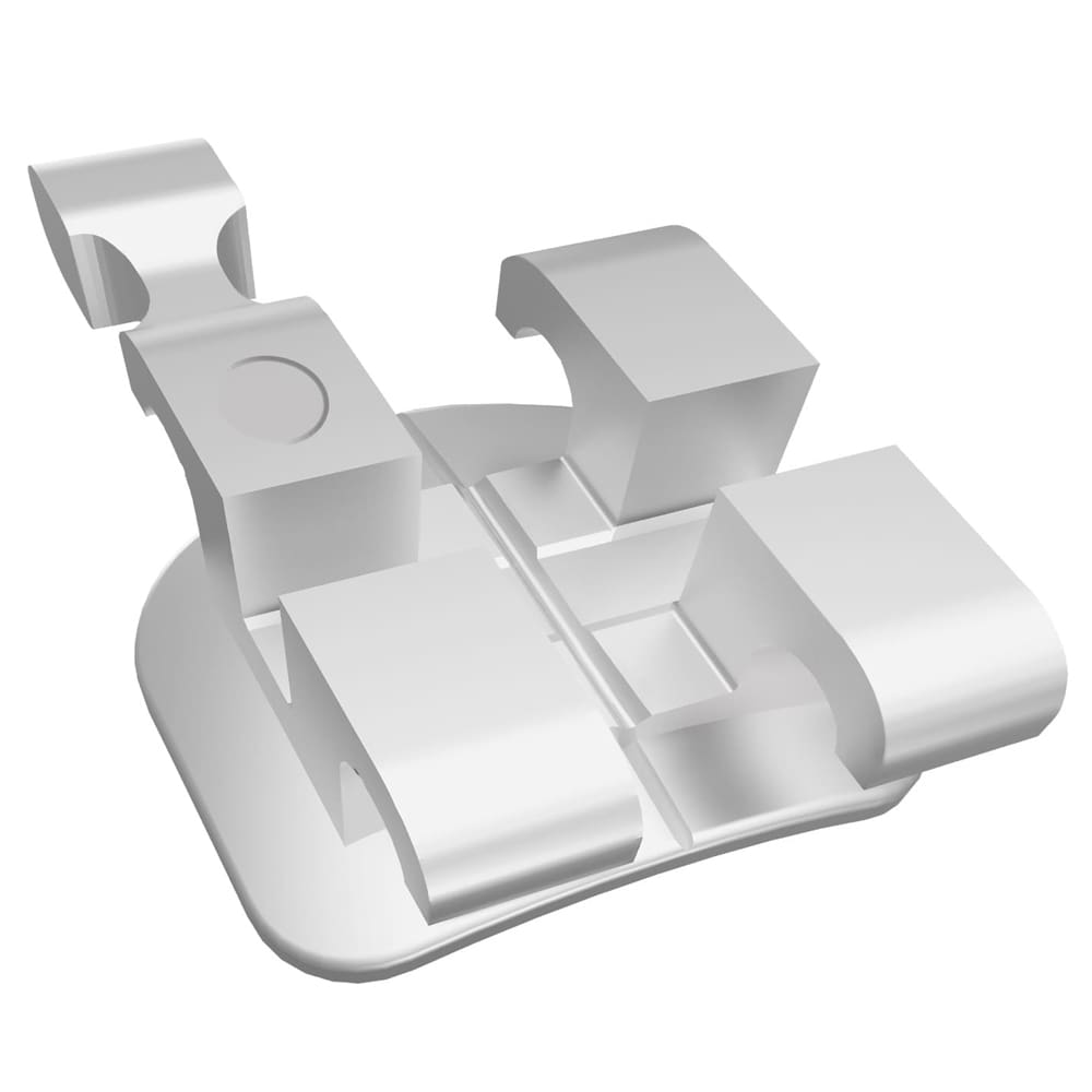 Mini Twin Two-Piece Stainless Steel Brackets Roth Rx 5-5 Kit – RMO