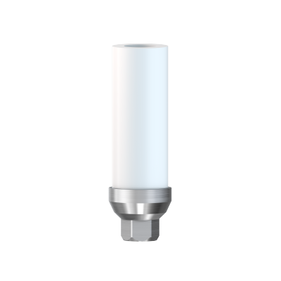 Custom Castable Abutments Ø2 mm – CORTEX Dental Implants Industries Ltd., Abutments