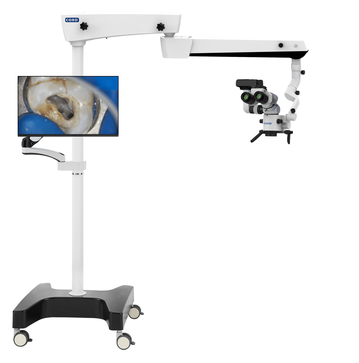 C-CLEAR-1 Operating microscope – Coxo Medical Instrument Co., Ltd, Loupes and Microscopes