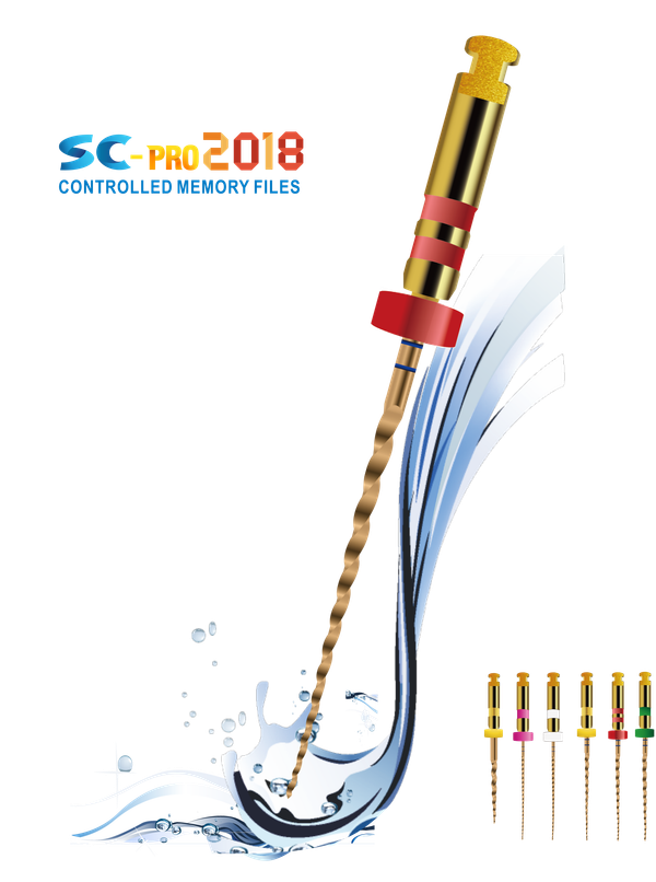 SC-PRO2018 File