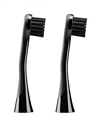 Bürstenkopf Carbon für Hydrosonic, 2 Stk.