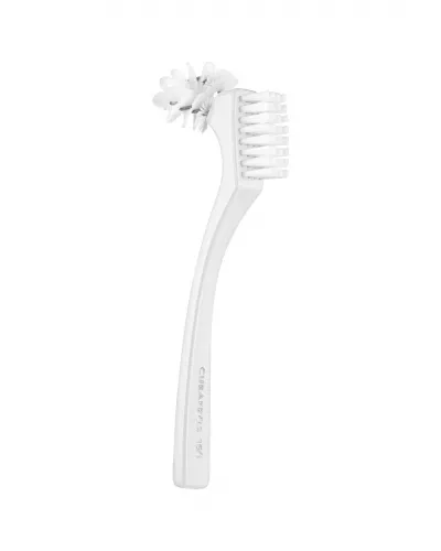 Denture cleaning brush BDC