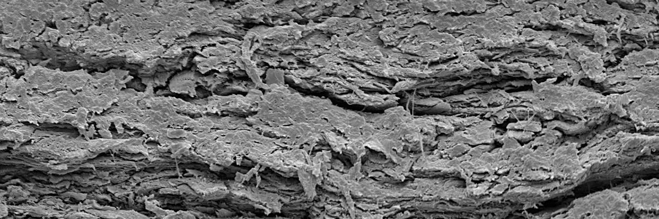 CollaGuide – Curasan AG, Membranes & Barriers