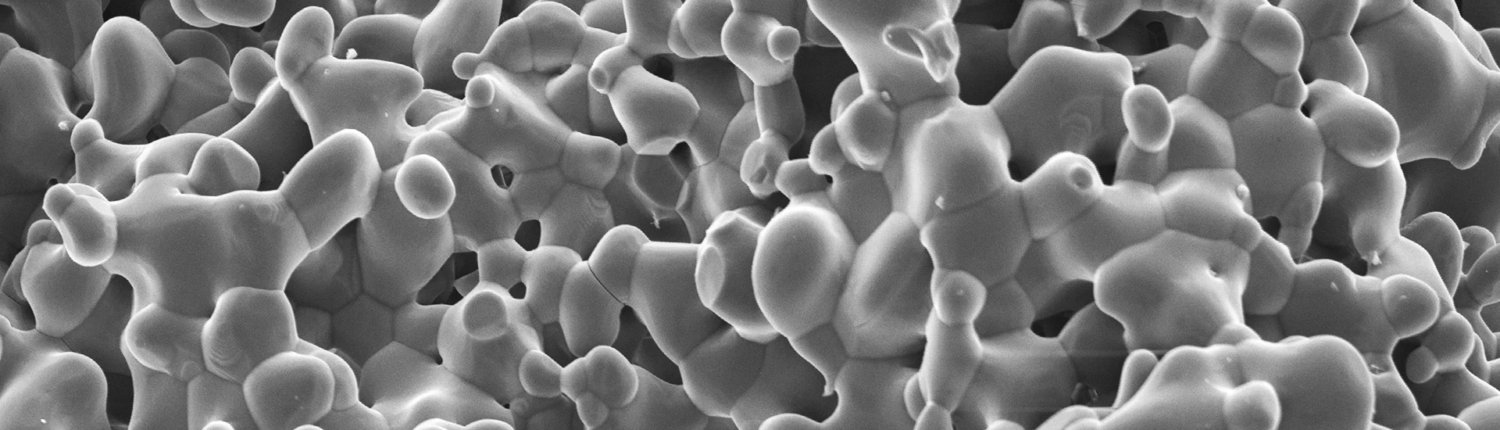 CERASORB® M – Curasan AG, Bone Graft Materials