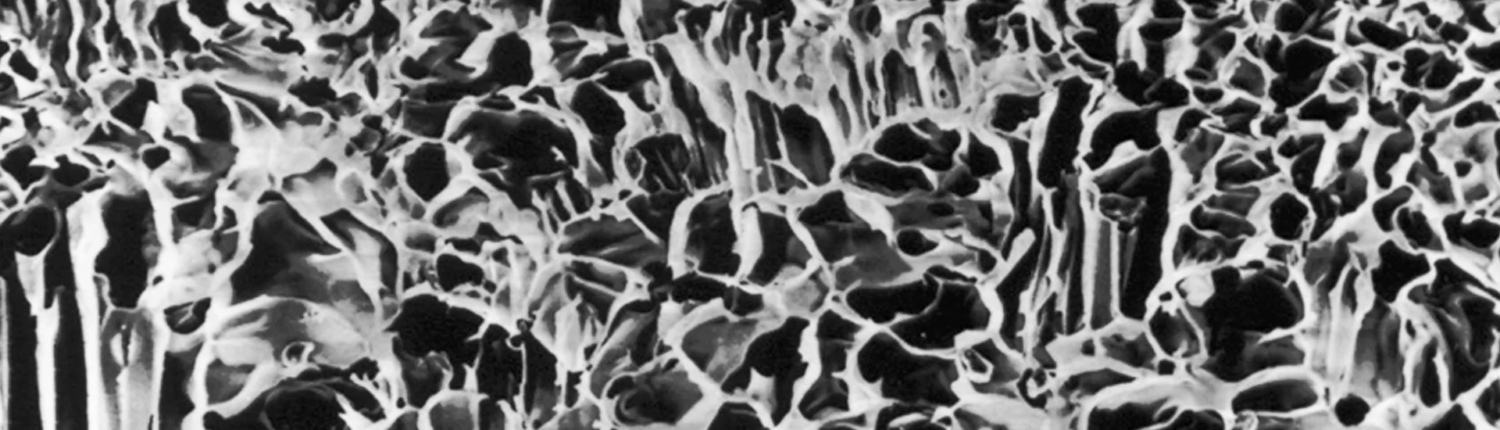 EPI-GUIDE® – Curasan AG, Membranes & Barriers