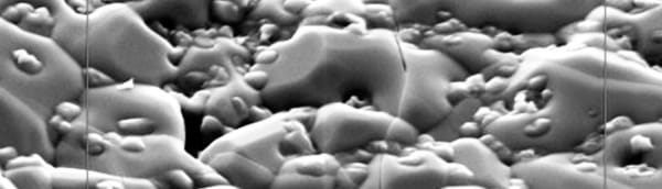CERACELL® Ortho Foam