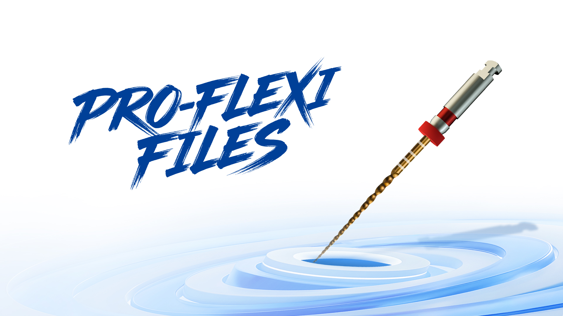 Pro Flexi Feilen – Shenzhen Denco Medical Co., Ltd, Rotary Files & Reamers