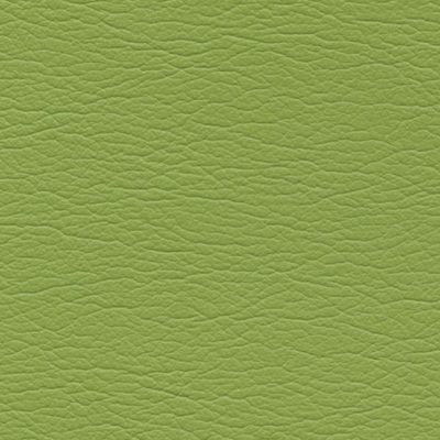 4460 Parrot – Belmont, Practice Furniture