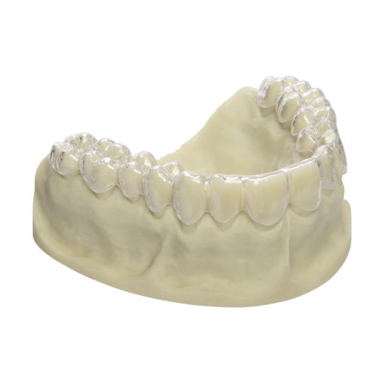 Biolon für Vacfomat V9 2.0 D420021