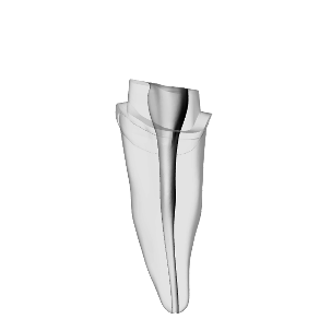 Incisor – Prepared crown, Shaped, Clear | Dental Training Models | DRSK – DRSK Group AB, Gipszusätze, Stumpflacke und Gipslöser