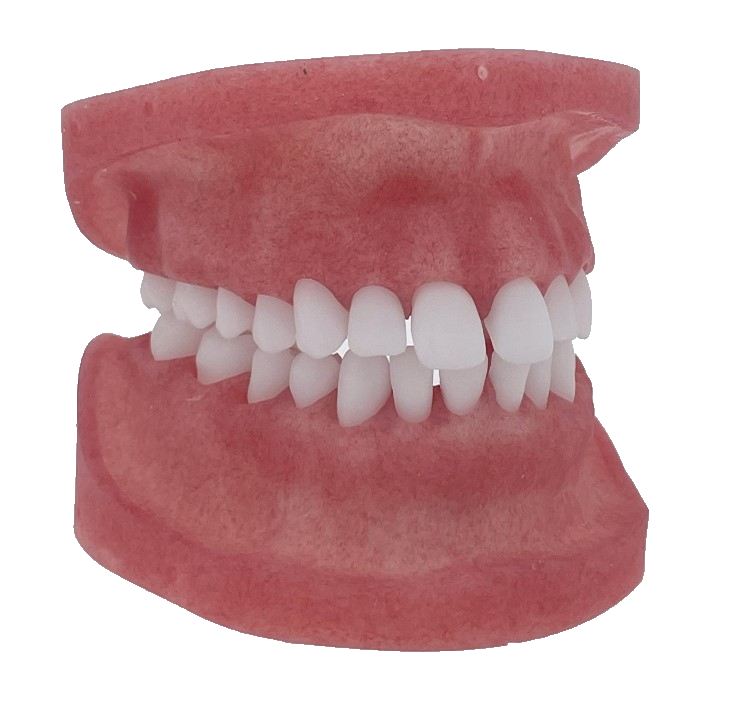 Modular Jaw Model – DRSK Group AB