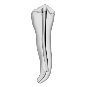 Premolar – Ledge | Dental Training Models | DRSK – DRSK Group AB, Zubehör für Wurzelbehandlung