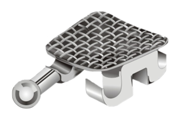 Econo Mini