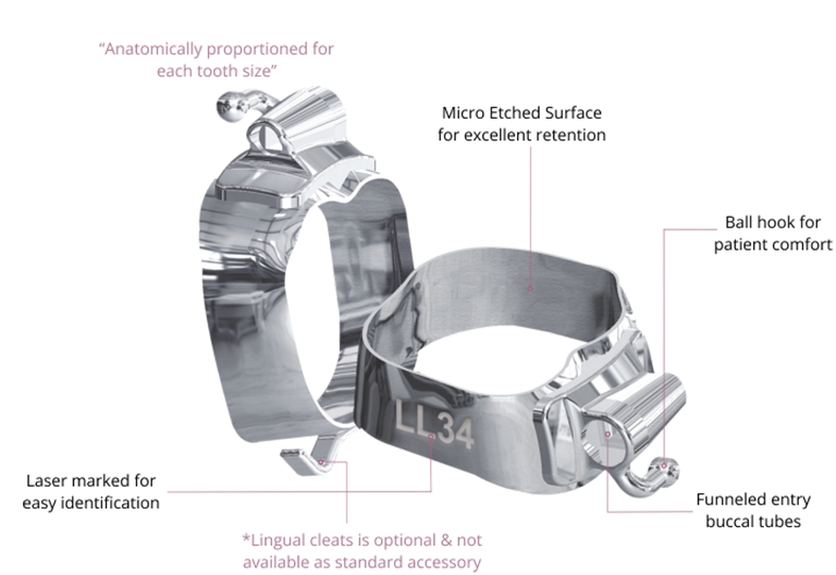 PW Molar Bands