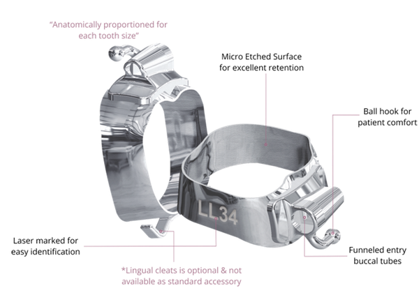 PW Molar Bands