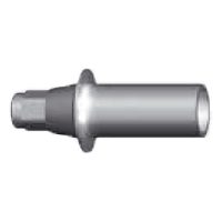 DXL- Aesthetic Plastic Abutment – DXL Medical, Implant Components & Abutments