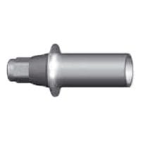 DXL- Aesthetic Plastic Abutment – DXL Medical, Implantology