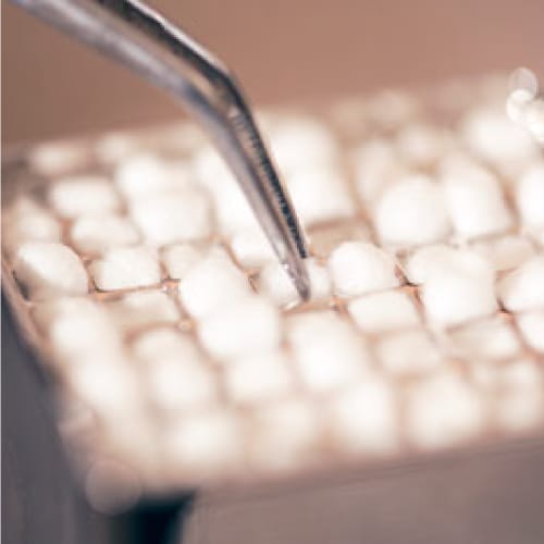 100% Cotton Pellets | Pure, Absorbent & Biodegradable | RMD