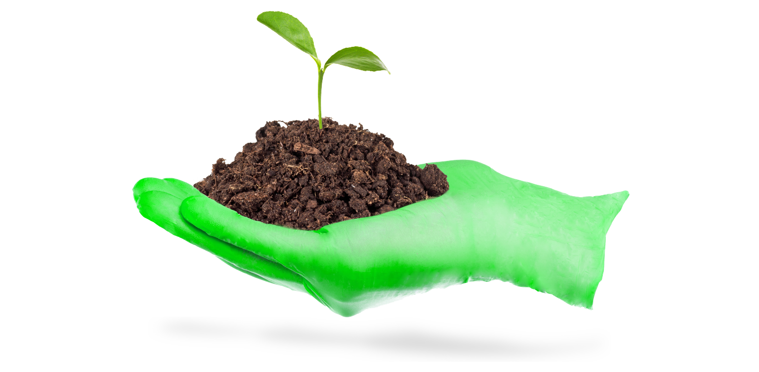 Sustainable Disposable Gloves - BeeSure
