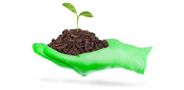 Sustainable Disposable Gloves - BeeSure