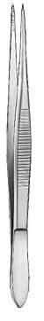 Splinter Forceps – EMERALD INSTRUMENTS, Tweezers
