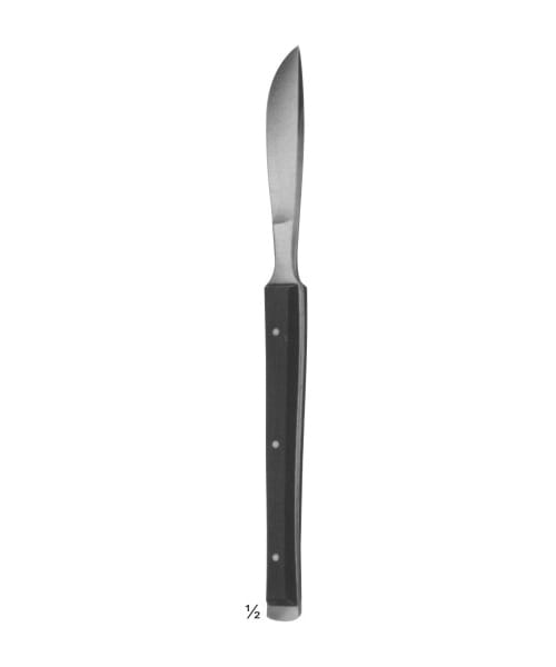 55mmBlade Length with raspatory Wooden Handle – EMERALD INSTRUMENTS, Chirurgische Instrumente