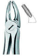 Bicuspids 7 – EMERALD INSTRUMENTS, Extraction Forceps