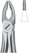 Incisors and Bicuspids 34N – EMERALD INSTRUMENTS, Extraction Forceps