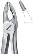 Incisors and Bicuspids 35N – EMERALD INSTRUMENTS, Extraction Forceps