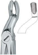 Tooth Ext Forceps – EMERALD INSTRUMENTS, Extraction Forceps
