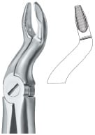 Tooth Ext Forceps – EMERALD INSTRUMENTS, Extraction Forceps