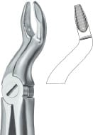 Third Molars Deep Griping 67 N – EMERALD INSTRUMENTS, Extraction Forceps
