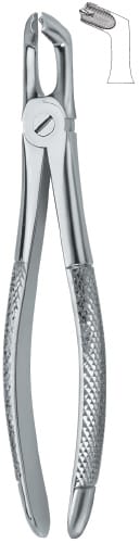 Third Molars 79