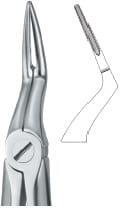 Tooth Ext Forceps – EMERALD INSTRUMENTS, Extraction Forceps