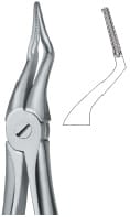 Tooth Ext Forceps